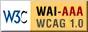 Web Accessibility Initiative Triple-A conformance